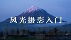 森林的舞会教案中班-森林的舞会，中班创意教学方案