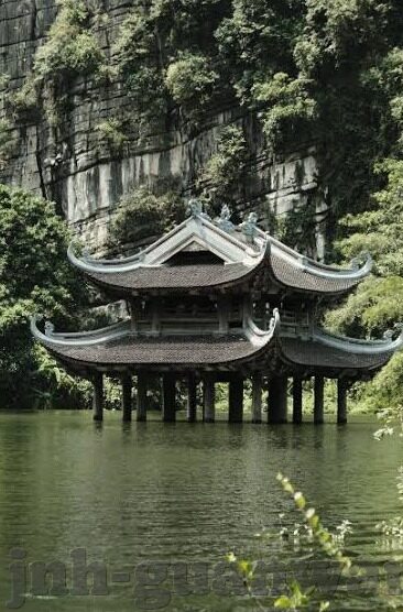 树叶画森林舞会-树叶画森林舞会，自然与艺术交织的梦幻篇章