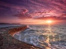 星空体育官方入口-星空下的体育梦幻之旅，解锁官方入口的无限可能