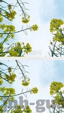 意乙足球直播比分-意乙烽火连天，实时比分直播，球迷的激情盛宴